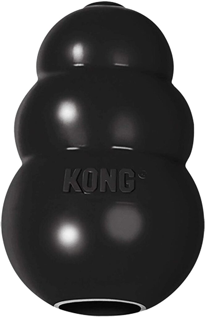 Kong negro para Yorkshire