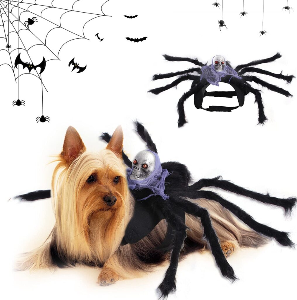 Disfraz de araña para perro