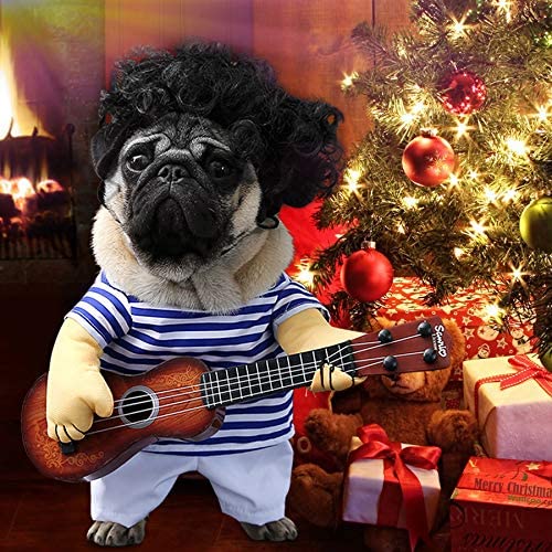 Disfraz perro con guitarra