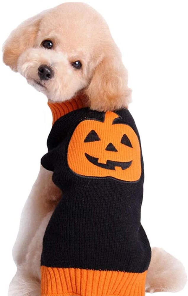 Jersey de calabaza para perro