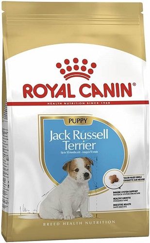 Pienso Royal Canin Jack Russell Terrier