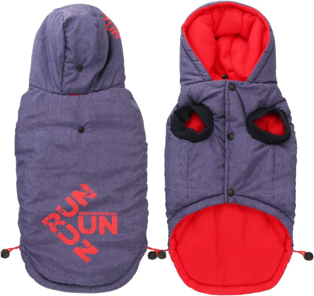 Abrigo de viento para Bull Terrier