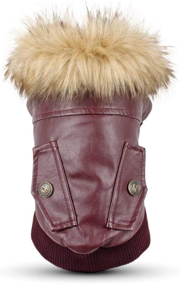 Abrigo piel para bull terrier